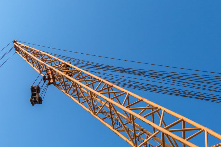 Thinking Forward HERO IMAGE