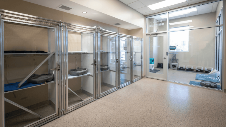 HCHS-Slider-Image-10