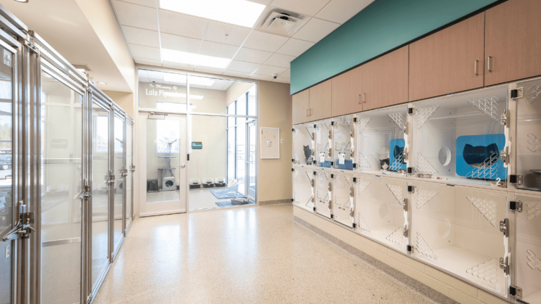 HCHS-Slider-Image-12