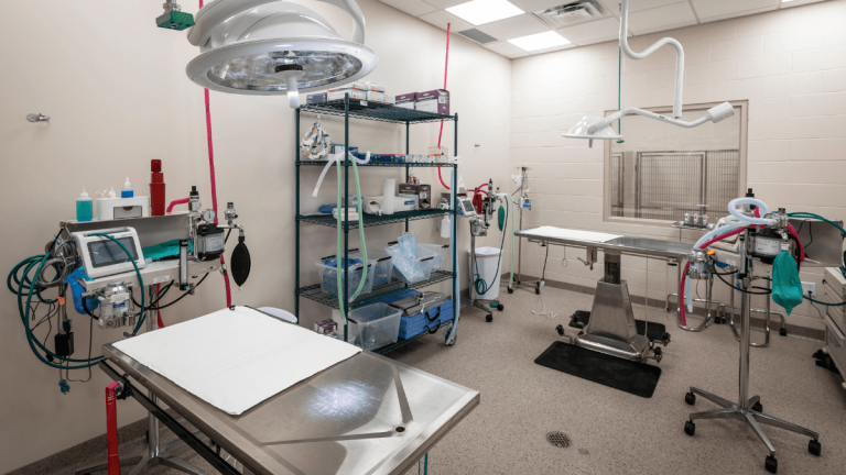 HCHS-Slider-Image-9
